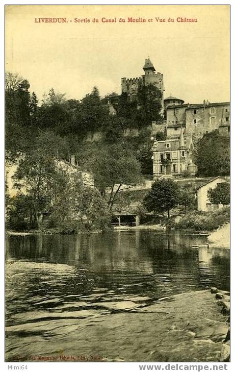 D.54. LIVERDUN .SORTIE DU CANAL DU MOULIN ET VUE DU CHATEAU LE LA VOILIER - Liverdun