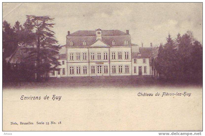 FLERON-LEZ-HUY = Le Château  (Nels  S.55  N° 18) 1914 (léger Pli En Haut à Gauche) - Huy