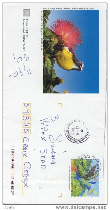 5518  ENVELOPPE FRANCE. - Perroquets & Tropicaux