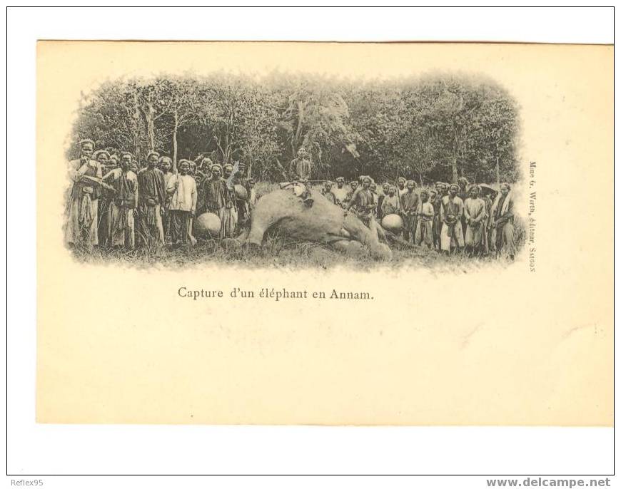 Capture D'un ELEPHANT En Annam - Elefanti