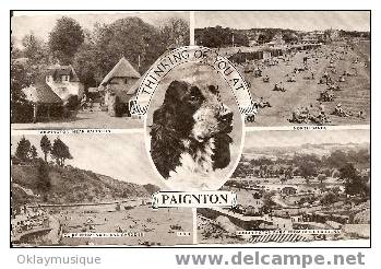 Carte De Grande Bretagne Paignton (divers Vue) 1961 - Paignton