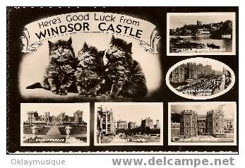 Carte De Grande Bretagne  1960 - Windsor