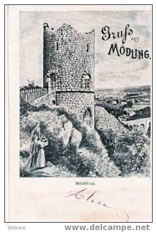 Oe021 / Nieder-Österreich, Mödling – 1903 – Schwarzer Turm, Stempel: Verkehrsstation  1 - Mödling