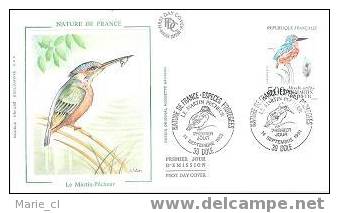 Superbe FDC (soie) MARTIN-PECHEUR - Other & Unclassified