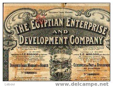 The Egyptian Entreprise & Development Company - Le Caire 1906 - 1 Part De Dividende - Afrique