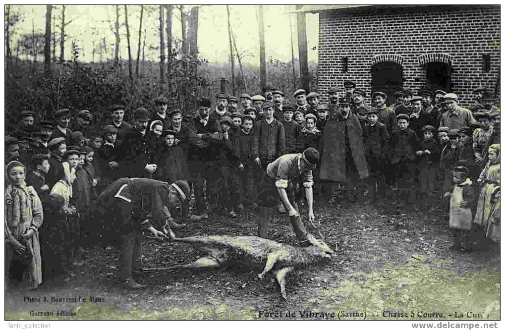 Forêt De VIBRAYE - Chasse à Courre - La Curet - Vibraye