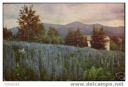 Presidential Range White Mountains New Hampshire 1950 Stamped - White Mountains