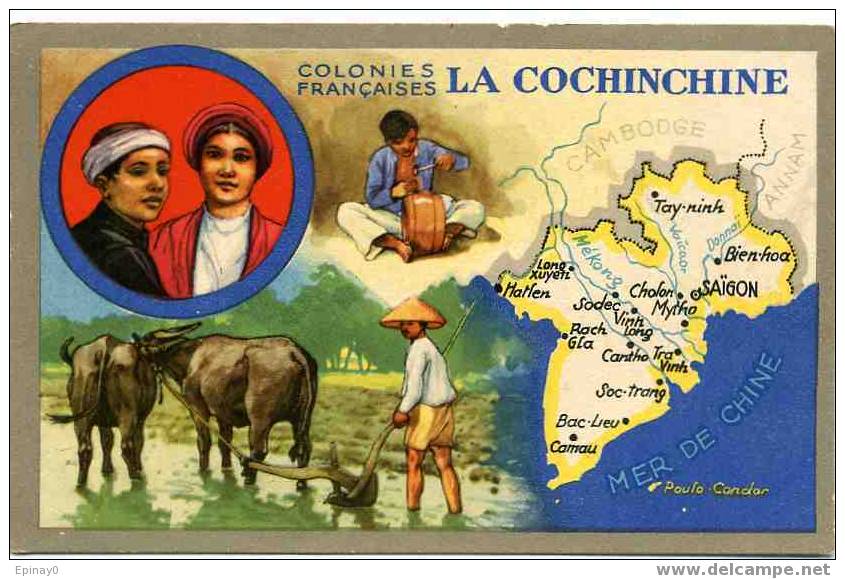 B - VIET-NAM - La Cochinchine - Colonies Françaises - Produit Du Lion Noir - Vietnam