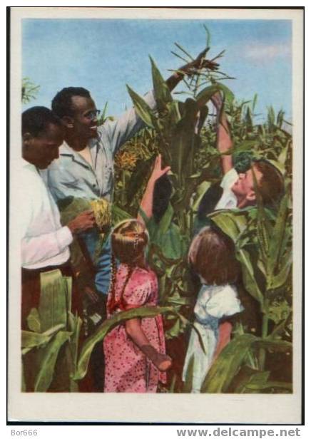 GOOD USSR PROPAGANDA POSTCARD 1963 - VIVA SOCIALISM - Friendship In The Corn Field - Missions