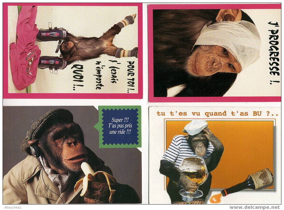 4 CARTES POSTALES HUMOURISTIQUES SUR LE THEME DES ANIMAUX DES CHINPANZES DES SINGES /MONKEYS - Monkeys
