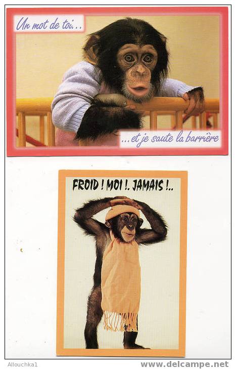 3 CARTES POSTALES HUMOURISTIQUES SUR LE THEME DES ANIMAUX DES CHIMPANZES DES SINGES /MONKEYS - Scimmie