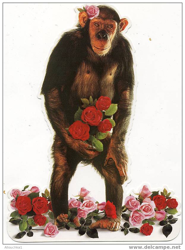 3 CARTES POSTALES HUMOURISTIQUES SUR LE THEME DES ANIMAUX DES CHIMPANZES DES SINGES /MONKEYS - Monkeys