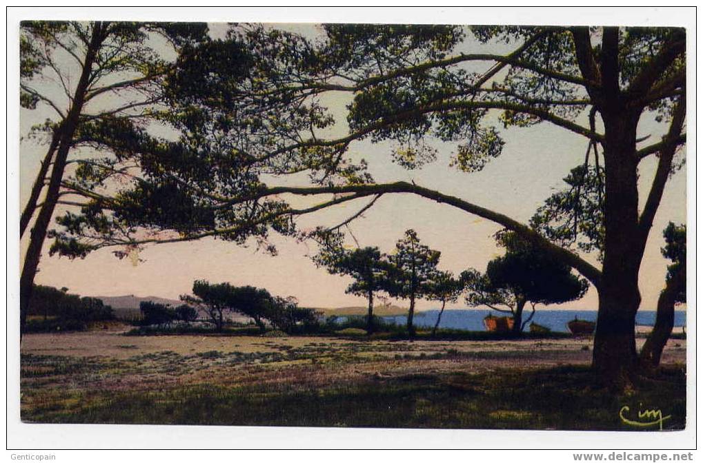 H105 - LA LONDE DES MAURES - Plage De L'Argentière - La Londe Les Maures