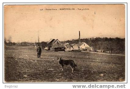 MORTZWILLER    VUE GENERALE   MILITAIRE   CHIEN - Autres & Non Classés