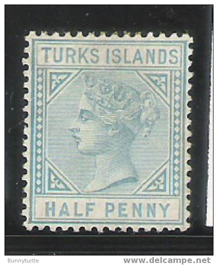 Turks Island 1882 Queen Victoria 1/2p Mint - Turks And Caicos