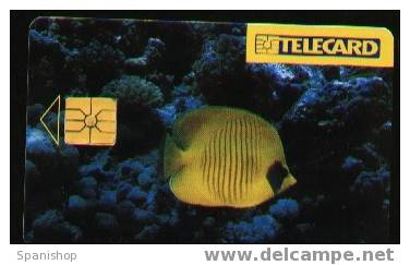 Czech Rep.Yello Fish Animal Fauna Sea Marine - Peces