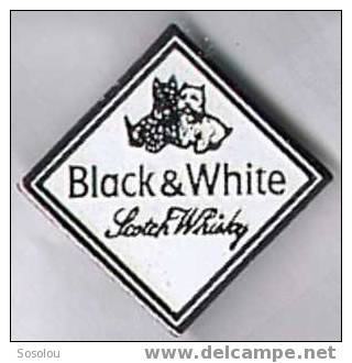 Whisky. Black & White. Les Chiens - Bière