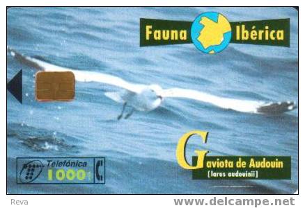 SPAIN  1000 PTAS  SEA  GULL  BIRD  BIRDS   FAUNA IBERICA   SPECIAL PRICE !! - Basisuitgaven