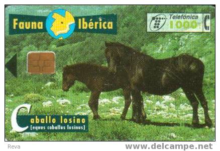 SPAIN  1000 PTAS  HORSE   ANIMAL  ANIMALS  FAUNA IBERICA   SPECIAL PRICE !! - Basic Issues