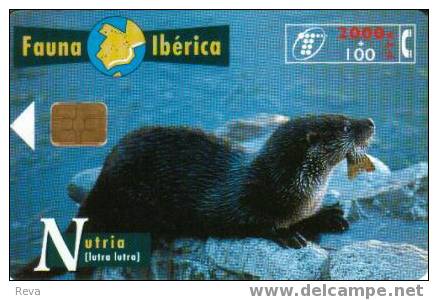SPAIN  2000 PTAS  NUTRIA   ANIMAL  ANIMALS  FAUNA IBERICA   SPECIAL PRICE !! - Basisuitgaven