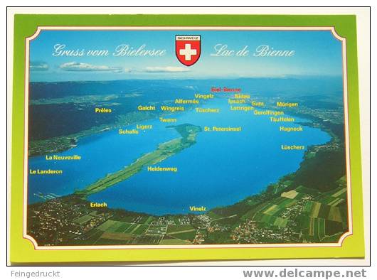 D 3133 - Gruss Vom Bielersee / Lac De Bienne - CAk, Nicht Gelaufen - Bienne