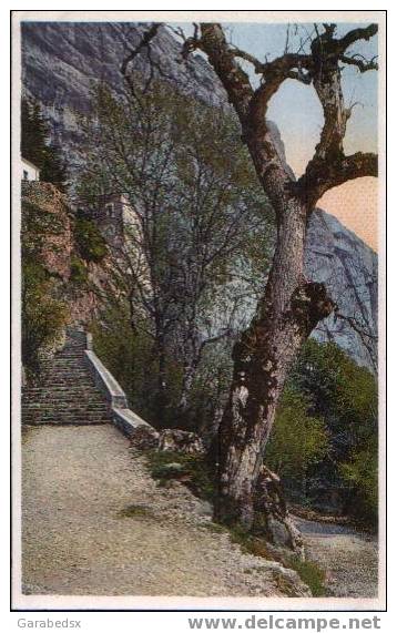 CPA De LA SAINTE BAUME - La Montée De La Grotte (carte N°3). - Saint-Maximin-la-Sainte-Baume