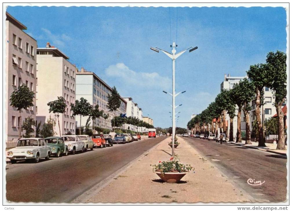 CPM De Dijon: Avenue Poincaré - Dijon