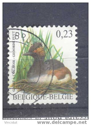 Belgique  Grèbe à Cou Noir 0.23 Euros - 1985-.. Oiseaux (Buzin)