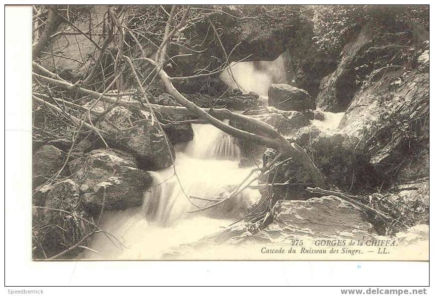 4692 Gorges De La Chiffa . Cascade Du Ruisseau Des Singes LL 275 - Autres & Non Classés