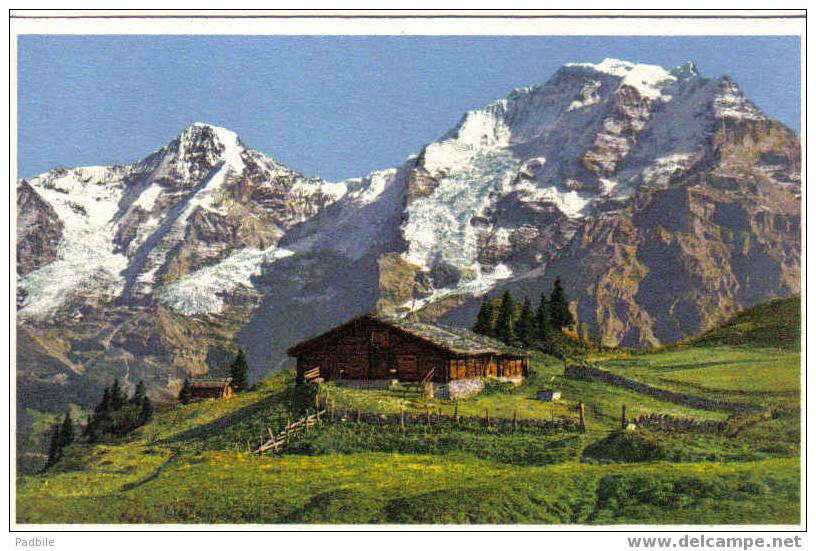 Carte Postale Mürren Mönch, Jungfrau - Mürren
