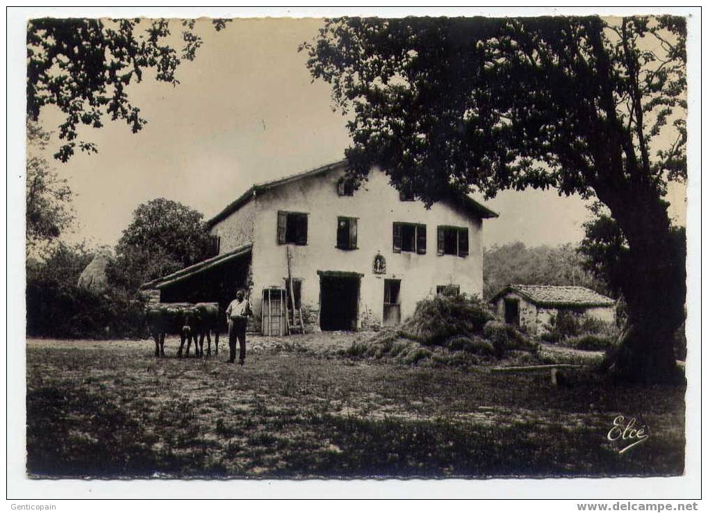 H111 - Ferme BASQUE (très Belle Carte Semi Moderne Grand Format) - Aquitaine