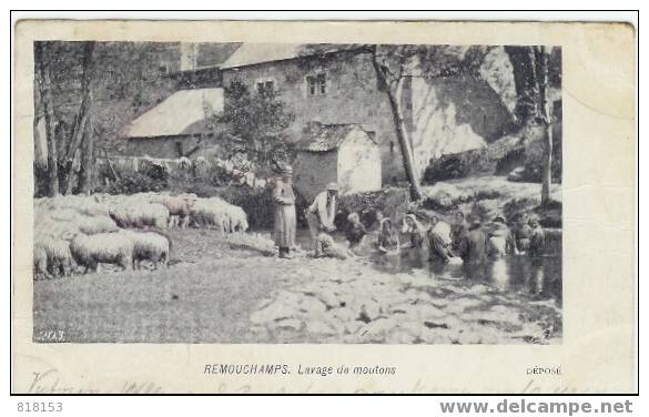 REMOUCHAMPS   Lavage De Moutons - Trois-Ponts