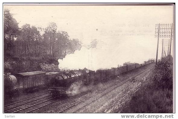 Lot BO , 78 , Le Rapide Du Havre Dans Les Bois D´ACHERES - Acheres