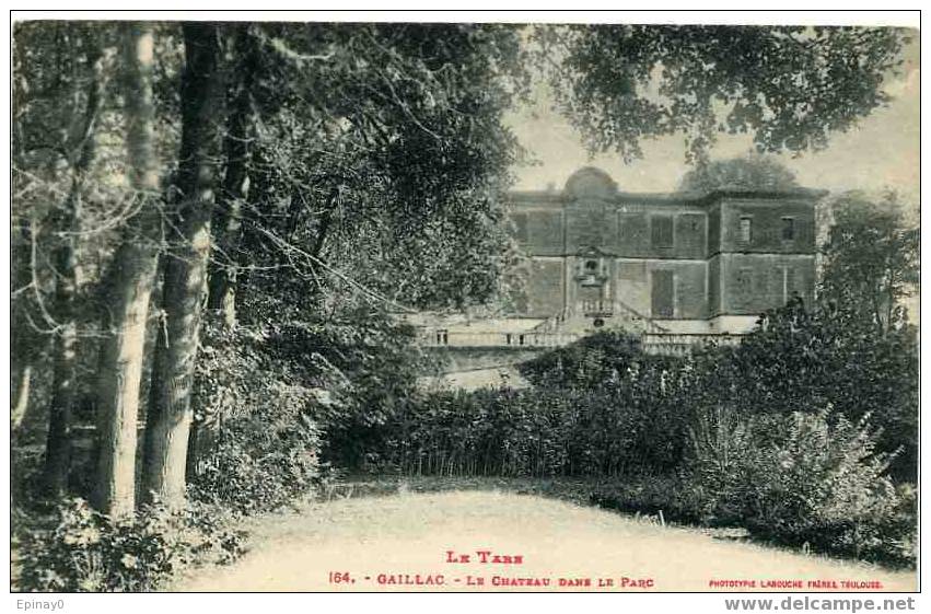 B - 81 - GAILLAC - Le Château Dans Le Parc - Gaillac