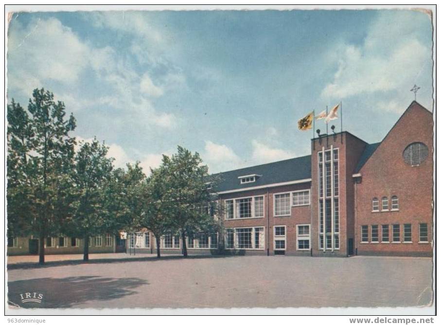 Heusden - Groeten Uit H. - Hartcollege - Vacantiekamp "Berkenbos" - Heusden-Zolder