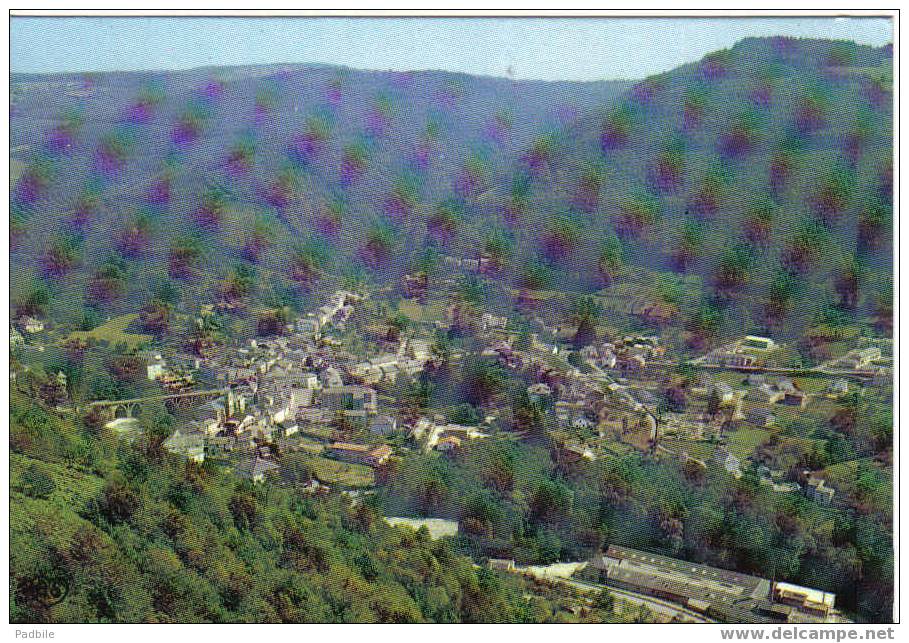 Carte Postale Vue Panoramique - Vabre