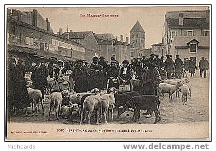 CPA 31 SAINT GAUDENS - Place Du Marché Aux Moutons - Saint Gaudens