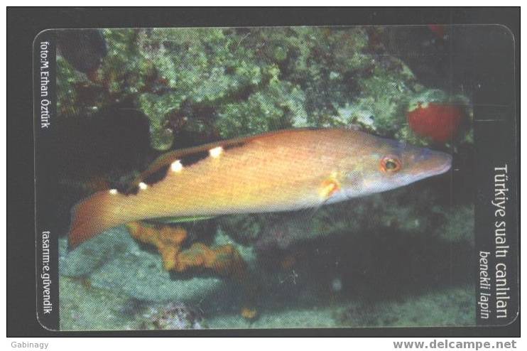 TURKEY - CHIP - UNDERWATER SET - BENEKLI LAPIN - FISH - Türkei