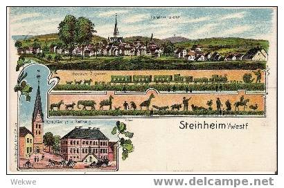 Nrw069/ Steinheim – 1912 – Totalansicht – Kirche Und Rathaus – Div. Darstellungen - Steinheim