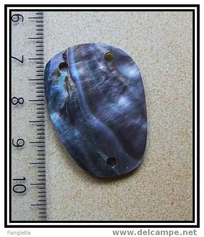 Perle En Nacre Abalone ( Ormeaux, Paua ) 3 Trous - Perlas