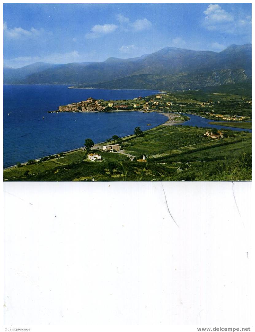 ST FLORENT VUE SUR LE GOLFE N° 302 KALLISTE ED 1963 - Corte