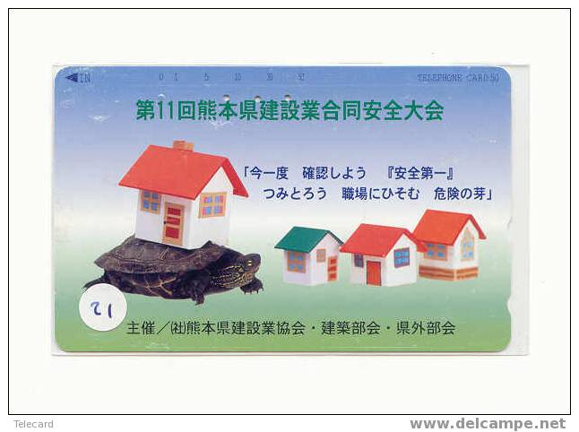 Sea Turtle – Tortoise – Tortuga Marina – Schildkroete – Tartaruga – Tortue – Turtle (21) - Turtles