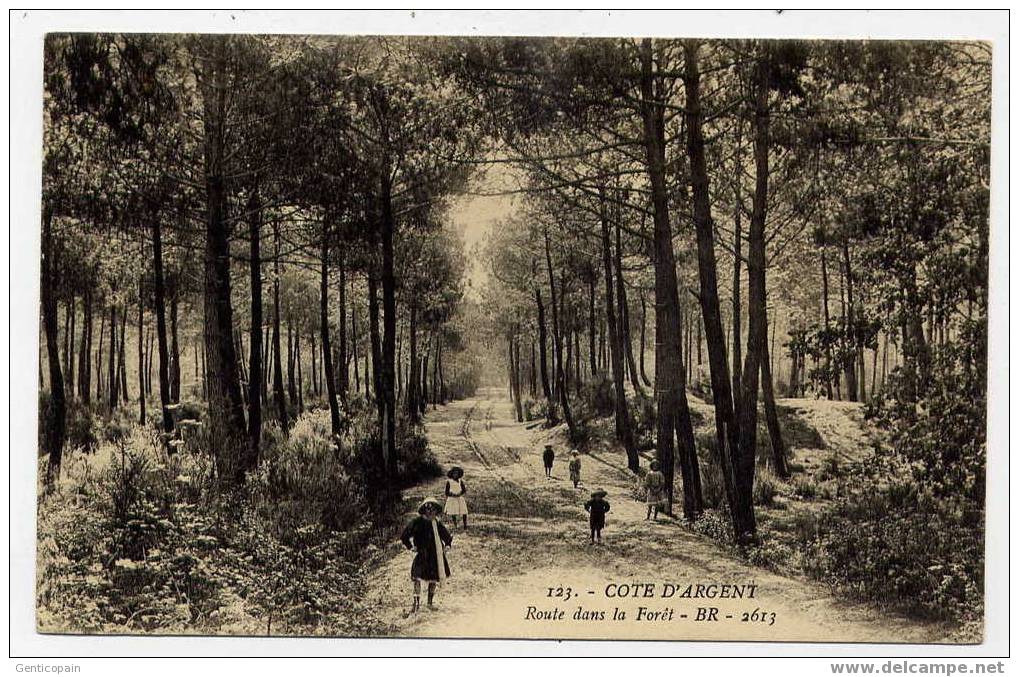 H120 - CÔTE D'ARGENT - Route Dans La Forêt (carte Animée De 1913) - Aquitaine