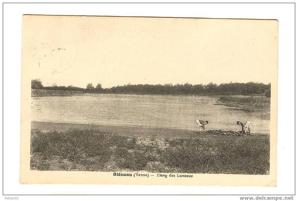 BLENEAU - Etang Des Luneaux - Bleneau