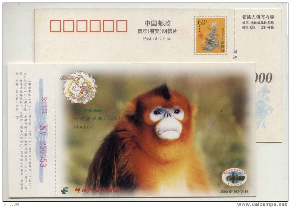 China 2000 Protect Rare Animals Advertising Pre-stamped Card Sichuan Golden Monkey - Singes