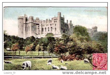 CPA - ARUNDEL CASTLE - ANIMEE - MOUTONS - Arundel