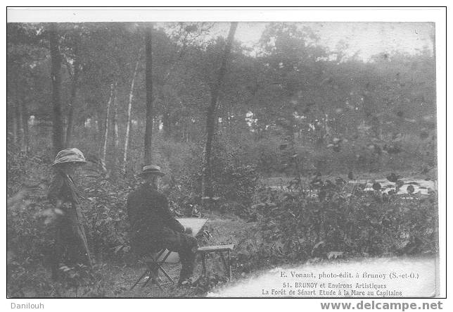 91 /*/ ESSONNE / BRUNOY / La Forêt De Sénart, étude à La Mare Au Capitaine / E VENANT Photo édit / ANIMEE / - Brunoy