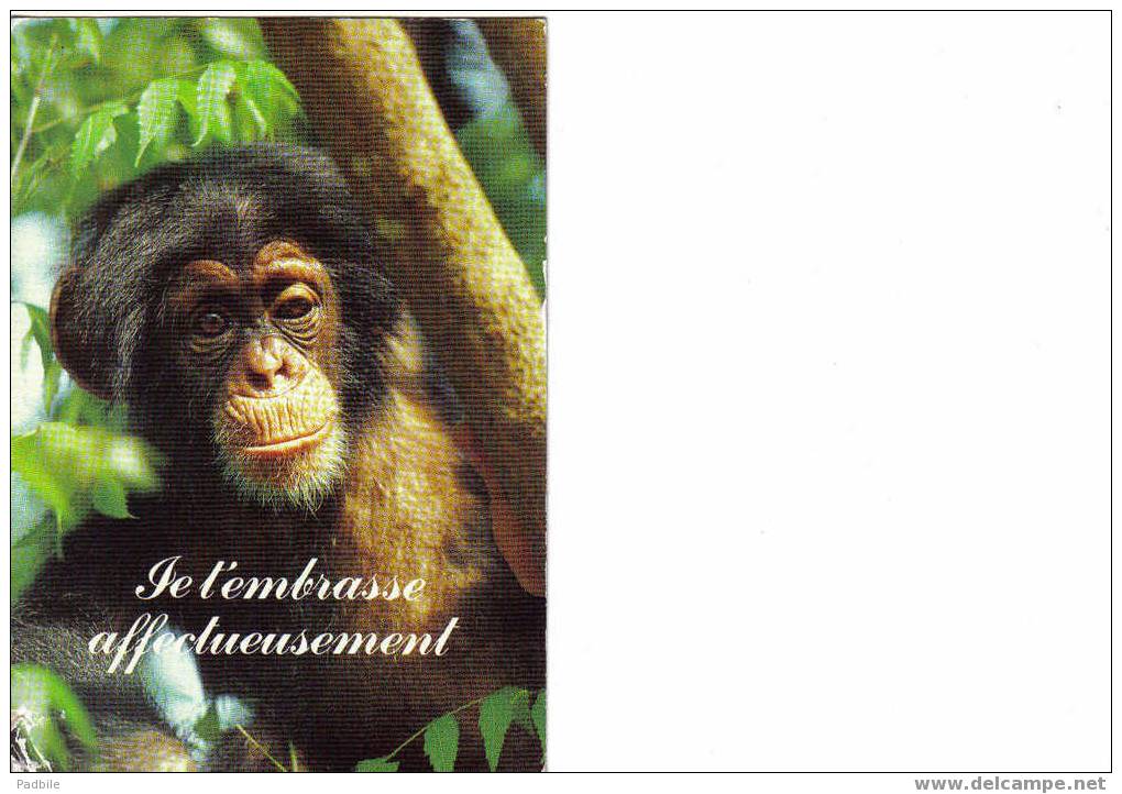 Carte Postale "Je T´embrasse Affectueusement" - Monkeys