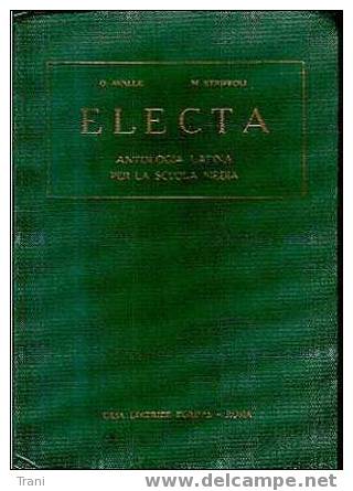 ELECTA - Language Trainings