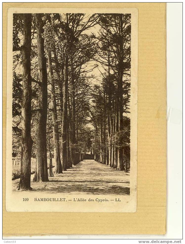 78 - Rambouillet - L'Allée Des Cyprés - CPA 1935 - Ed LL N° 109 - Rambouillet (Schloß)